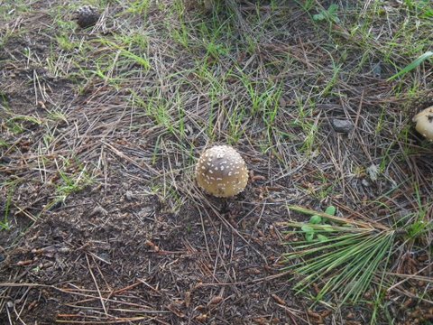 f0046250_14575072.jpg