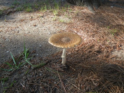 f0046250_14575147.jpg