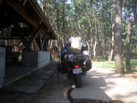 f0046250_15245495.jpg