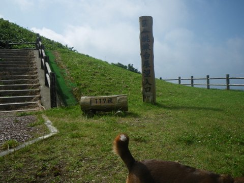 f0046250_20263246.jpg