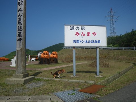 f0046250_20402621.jpg