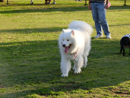a0166954_23522169.jpg