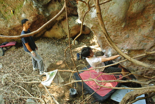 a0198557_3213377.jpg