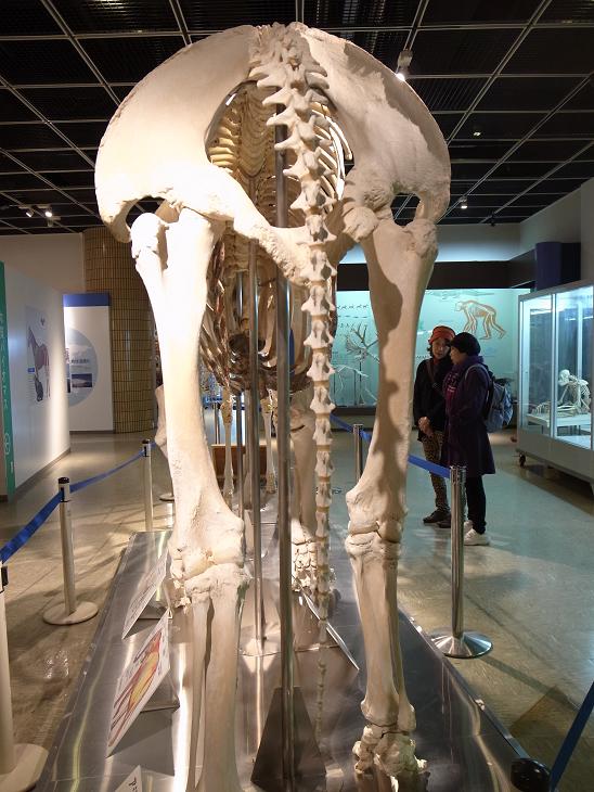 f0149057_1081983.jpg