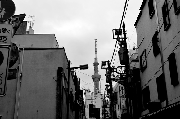 c0062361_2246511.jpg