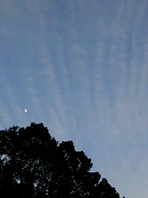 f0222164_16583486.jpg