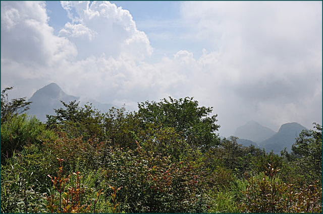 b0053765_16433610.jpg