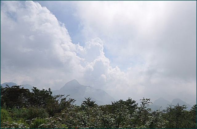 b0053765_16483853.jpg