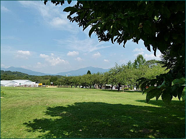 b0053765_19402642.jpg