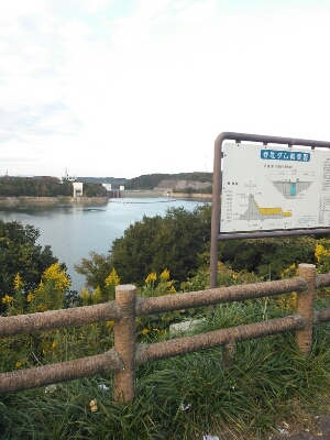 a0111166_20495273.jpg