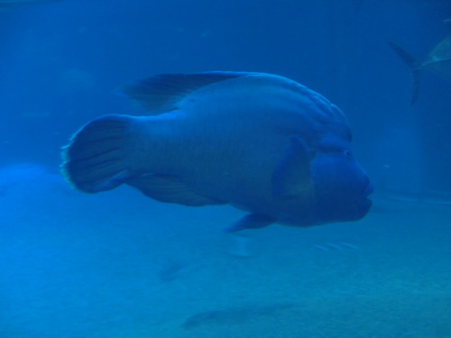 c0171468_23103592.jpg