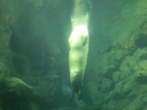 c0171468_2314668.jpg