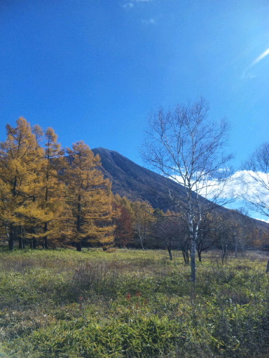 e0242868_2374742.jpg