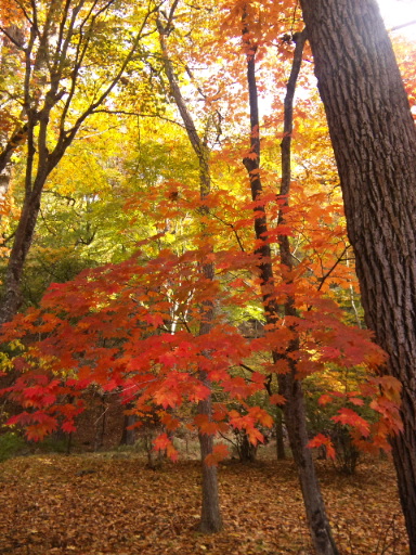 e0242868_2374774.jpg