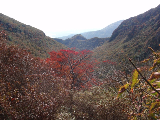 c0042869_20293998.jpg