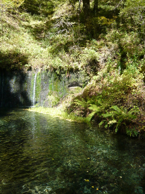 d0108969_17104612.jpg