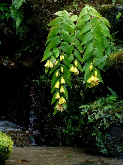 d0084473_20191820.jpg
