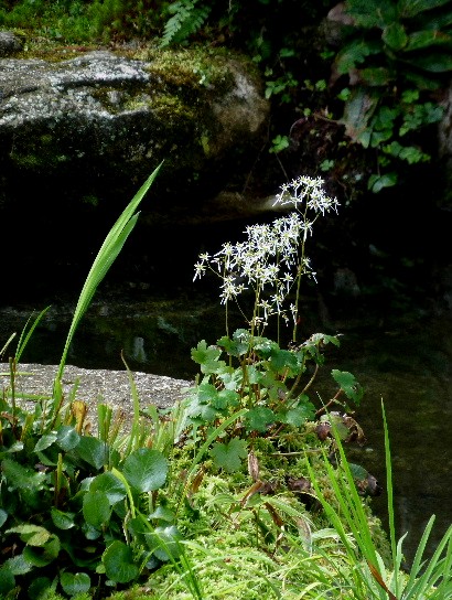 d0084473_20194116.jpg