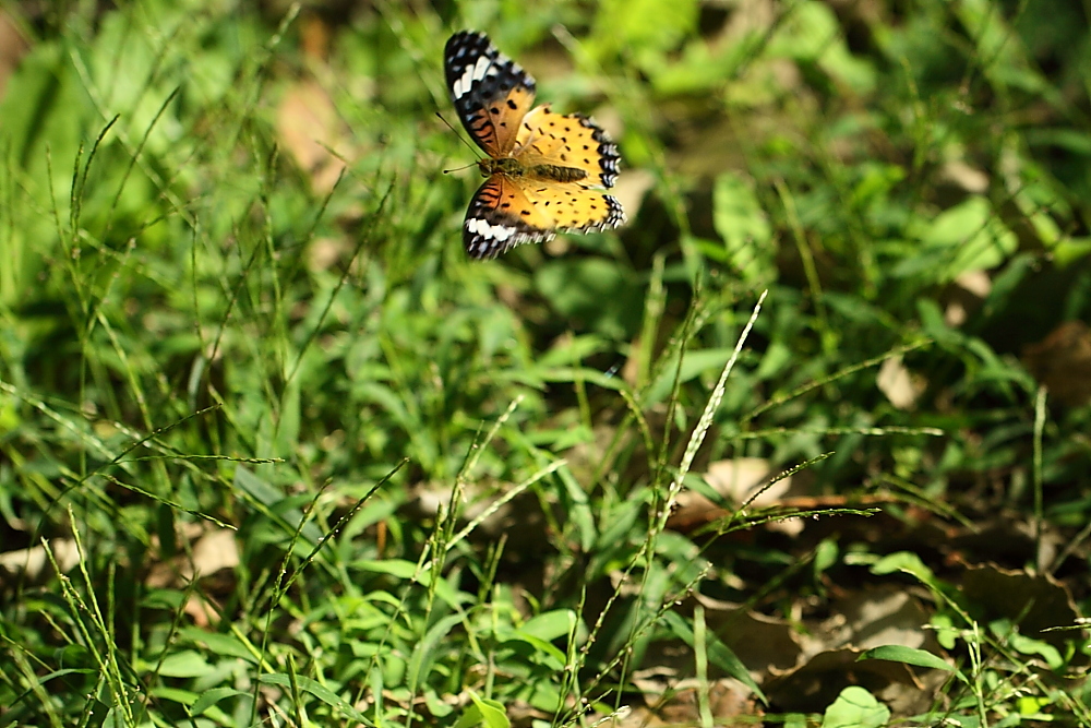 e0249878_0471543.jpg