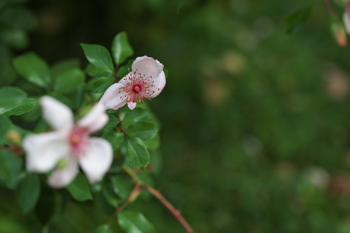 a0083081_1644114.jpg