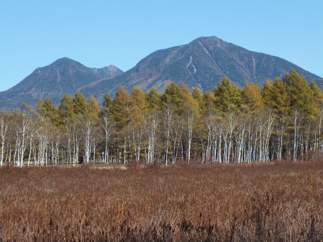 e0145782_17221618.jpg