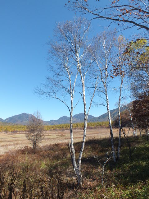 e0145782_17262882.jpg