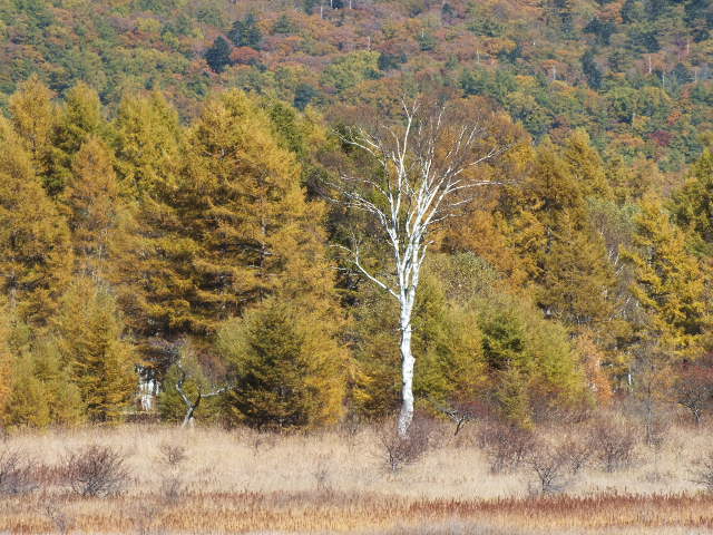 e0145782_17271727.jpg