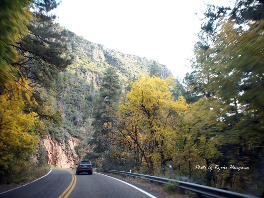 e0148185_12262060.jpg