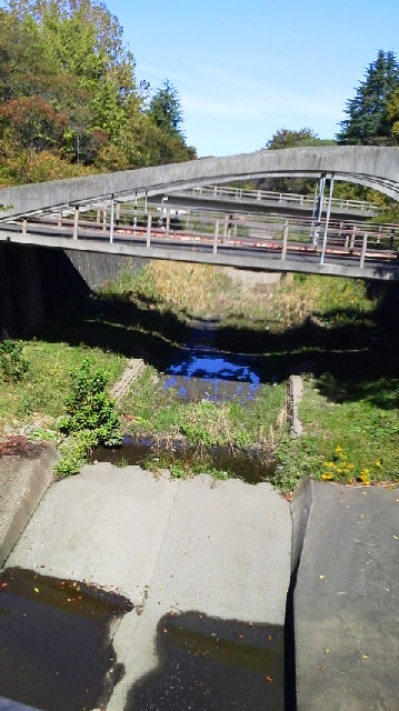 d0034291_15401319.jpg