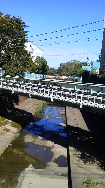 d0034291_15401344.jpg