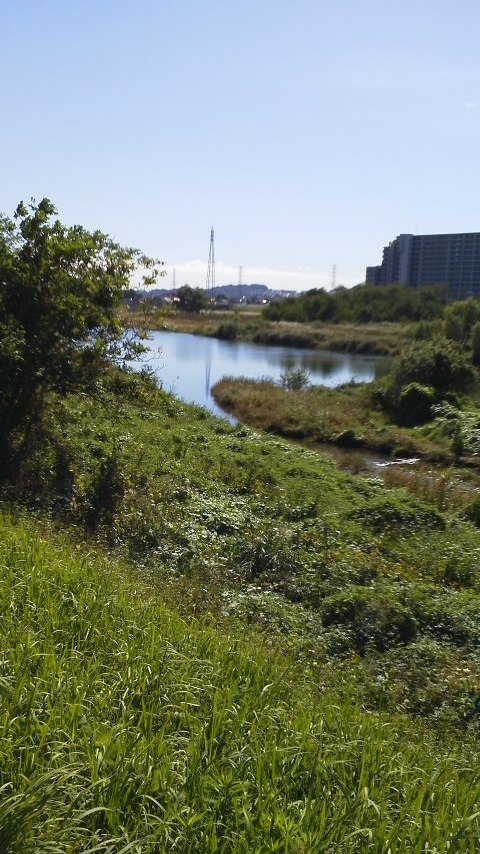 d0034291_15401351.jpg