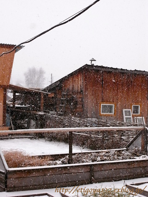 e0250594_2314057.jpg