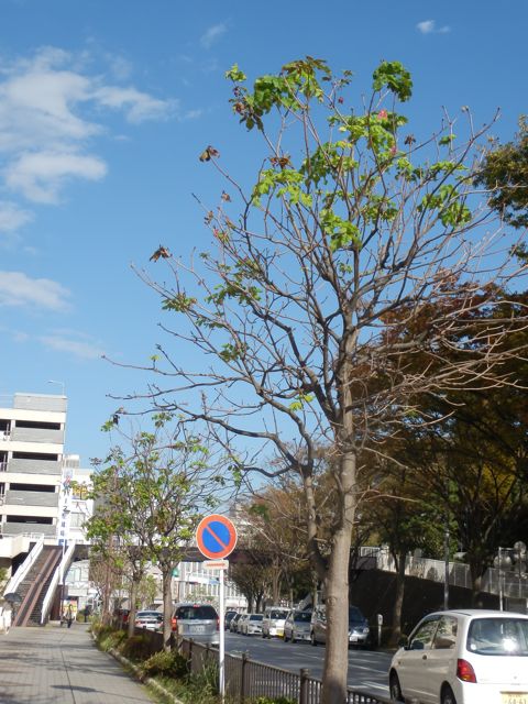 f0130894_2231348.jpg
