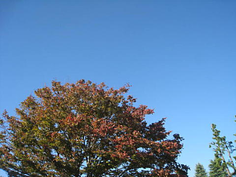 d0046702_5121648.jpg