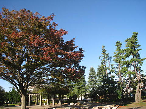 d0046702_5122897.jpg