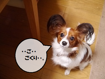 b0243804_21205649.png