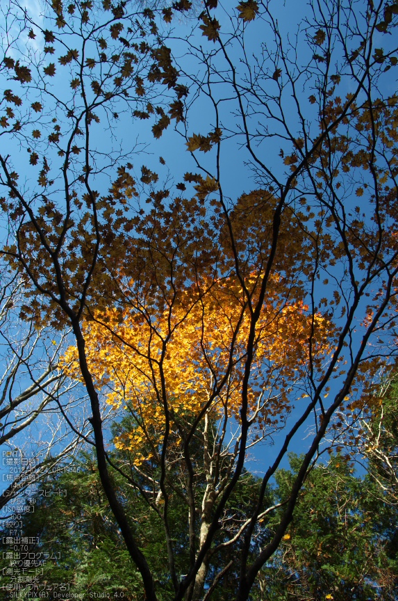 f0221510_7284148.jpg