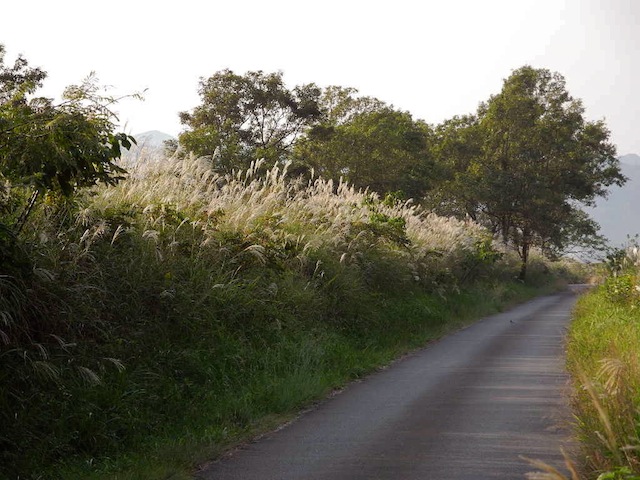 c0248013_1111501.jpg