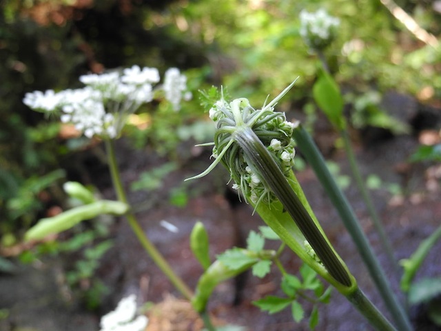 c0248013_1131456.jpg
