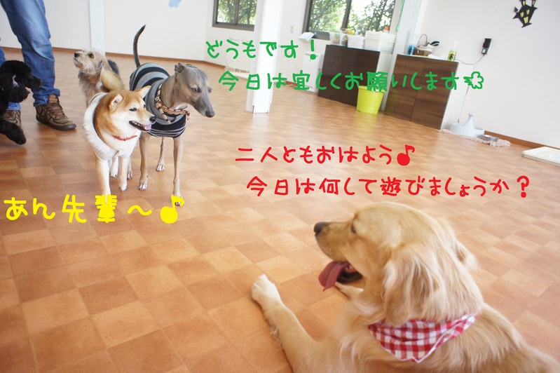 d0220513_17112951.jpg