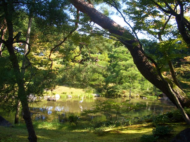 e0033713_1054613.jpg