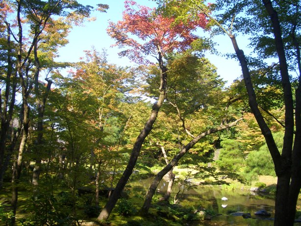 e0033713_1072843.jpg