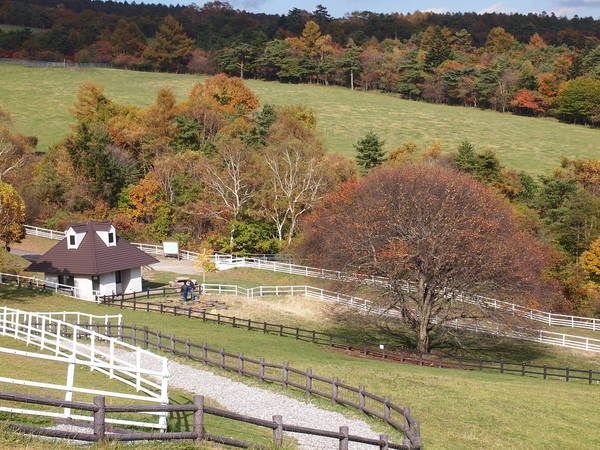 d0183417_233724.jpg