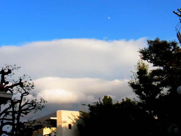 e0083517_5344250.jpg