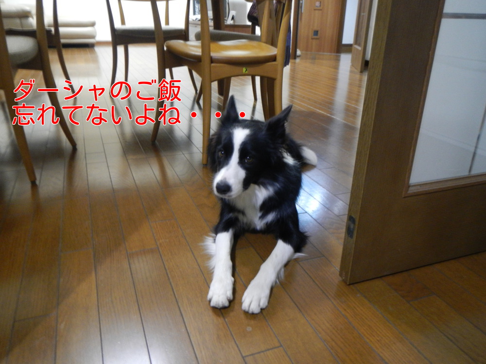a0232619_21365196.jpg
