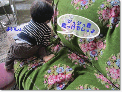 b0167519_17201564.gif
