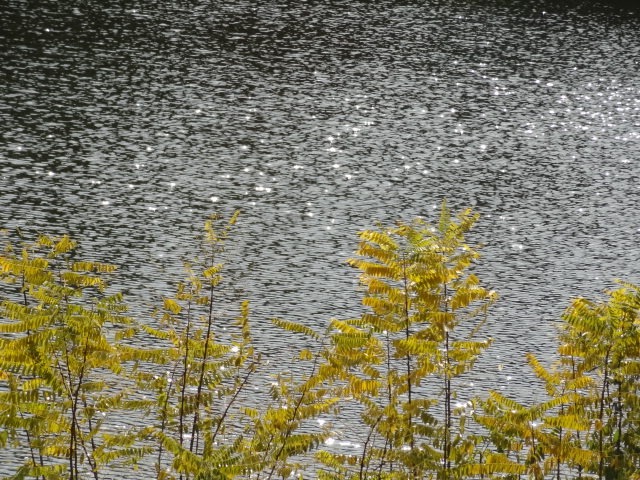e0016828_10214167.jpg