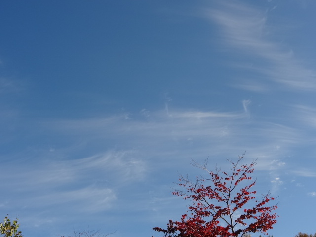 e0016828_9275279.jpg