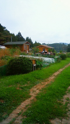 b0286136_1344589.jpg