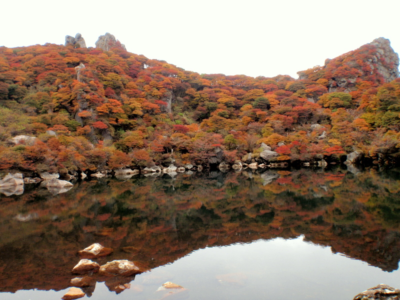 b0168843_18424297.jpg